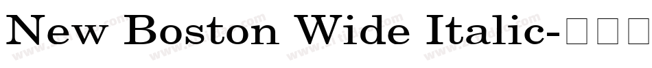 New Boston Wide Italic字体转换
